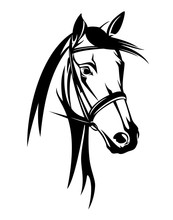 Horse Head With Bridle - Black And White Equestrian Sport Vector Portrait