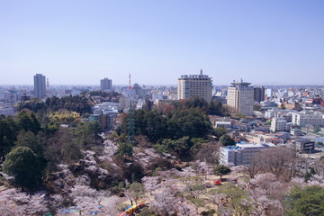 宇都宮市　宇都宮タワーから見た八幡山公園と街並み