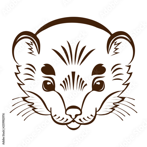 Cuadros en Lienzo Logo ermine head. Stylized mascot.