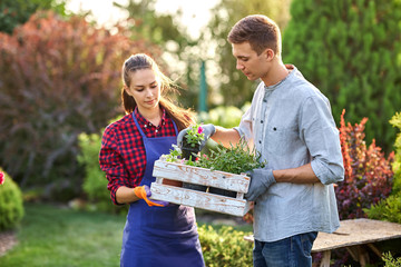 Guy and girl gardeners hold the white wooden box in hands and put there  pots with seedlings on a sunny day in the wonderful nursery-garden.