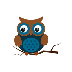 Owl night bird with big eyes. Colorful illustration
