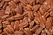 background of pecan nuts