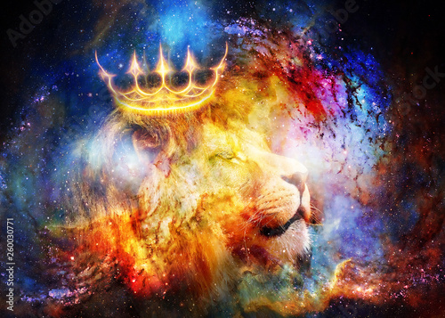 Fototapeta  lion king in cosmic space. Lion on cosmic background.