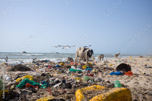 Fotografía Coastal pollution in Senegal