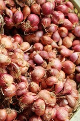 Canvas Print - Shallot - asia red onion at street food