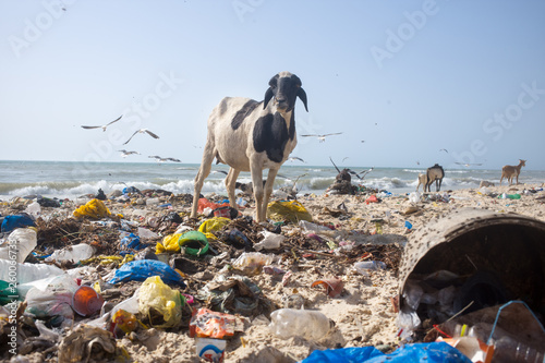 Fotografía coastal pollution in Senegal