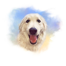 Illustration Of A Cute Labrador Retriever With A Smile. Guide Dog. Watercolor Animal Collection: Dogs. Realistic Art Portrait - Hand Painted Illustration Of Pet. Good For Print On T-shirt, Pillow