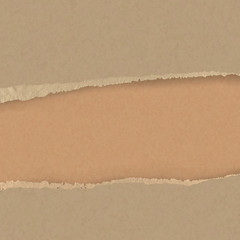 Wall Mural - realistic torn brown carton border. ripped paper.