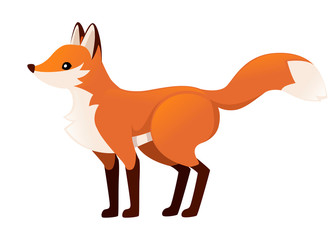 Wall Mural - Cute red fox is standing on four legs. Cartoon animal character design. Forest animal. Flat vector illustration isolated on white background