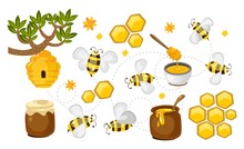 Honey And Bee Vector Collection. Honeycombs, Jars With Honey And Bees Colorful Set. Vector Beekeeping Illustration