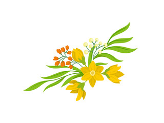 Wall Mural - Spring flowers on white background. Floral concept.