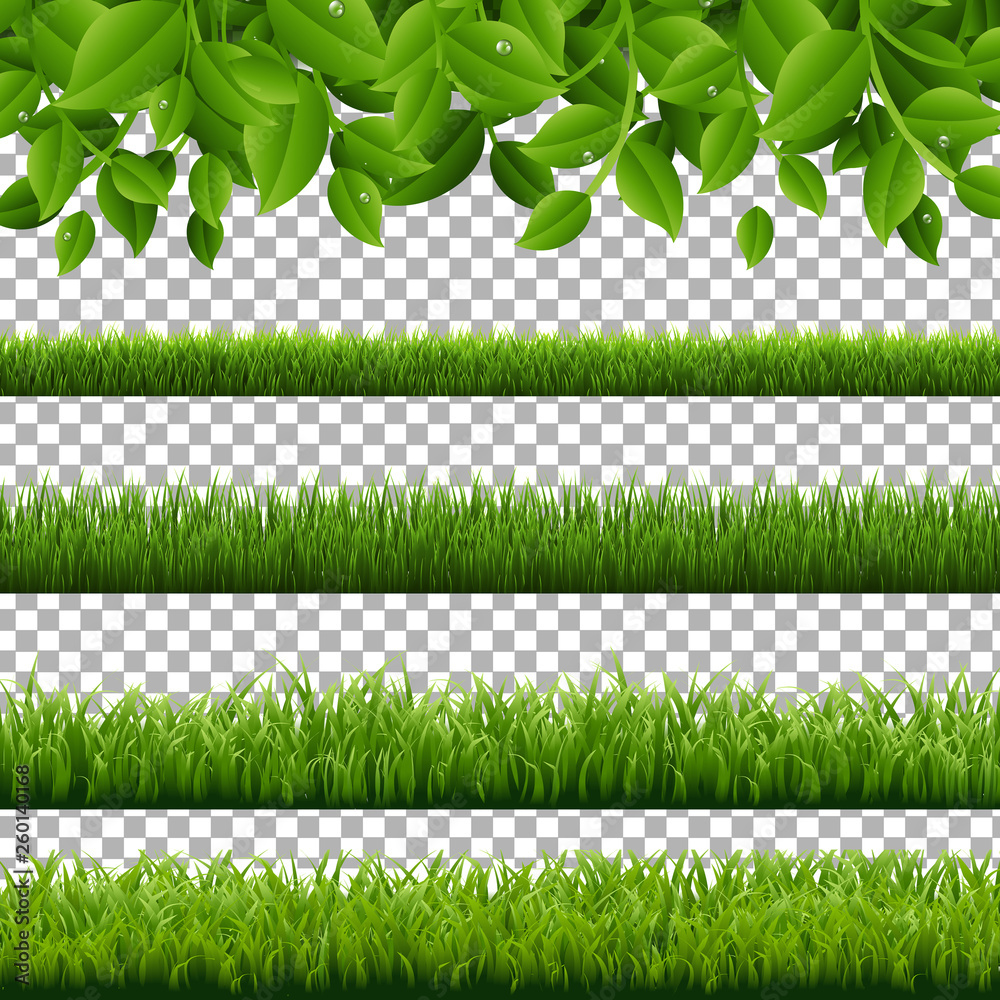 Big Set Green Grass And Leaves Borders Transparent Background Stock ...
