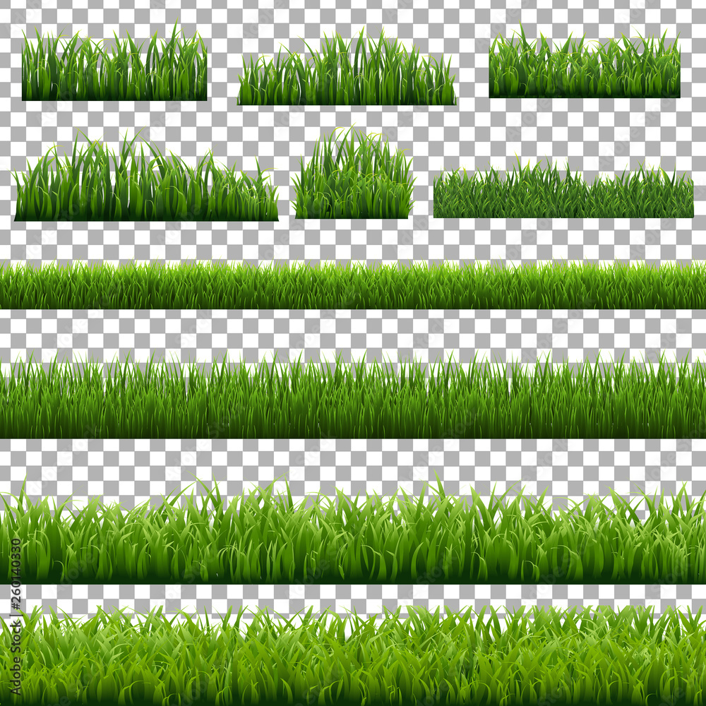 Big Set Green Grass Borders Transparent Background White Background ...