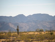 Desert landscape in Kofa National Wildlife Refuge, Arizona.