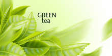 Green Tea. Tea Leaves Background. Element For Design, Advertising, Packaging Of Tea Products. Vector Illustration. 