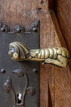 Brass Lion-Shaped Handle On A Wooden Door