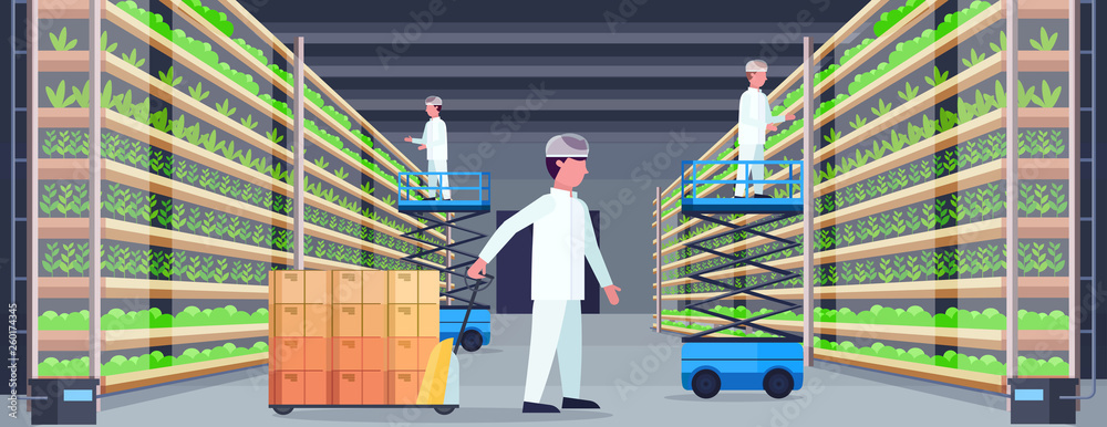 agriculture engineers working in modern organic vertical farm interior farming system concept pallet truck scissors lift platforms equipment green plants growing industry horizontal flat - obrazy, fototapety, plakaty 