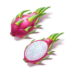 Wall Mural - Vector realistic pitahaya dragon fruit pitaya 3d