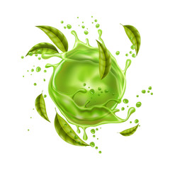 Wall Mural - Vector green juice splash explosion green leaves