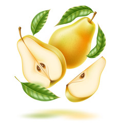 Wall Mural - Vector realistic fresh pear with leaf green fruit