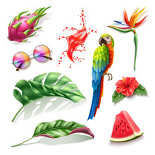 Realistic Summer Holiday, Paradise Resort Design Vector Collection. Tropical Fruits Pitahaya, Watermelon, Hibiscus, Strelizia Flowers, Macaw Colorful Parrot, Sunglasses, Red Juice Splash.