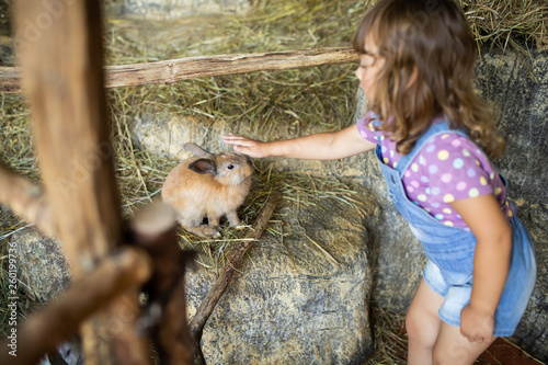 Fotomural Adorable little girl playing with rabbit at the petting zoo