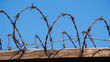 Barbed fence