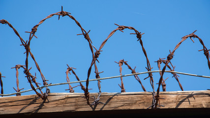 Barbed fence