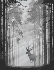 Fototapeta zwierzę sztuka drzewa las dziki
