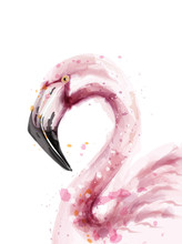 Flamingo Watercolor Vector Isolated. Exotic Flamingo Bird With Palm Leaves. Tropical Summer Decoration Invitations