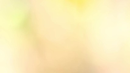 Beautiful yellow bokeh background. Real time full hd video footage.