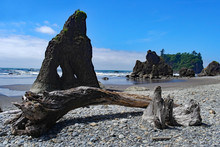 Driftwood And Rocks On An Oregon Beach