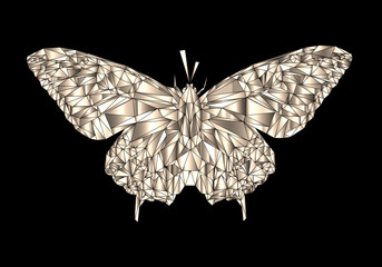 Leinwandbilder - Abstract Artistic Polygonal Butterfly Shape in black Background