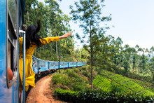 Woman Enjoying Train Ride Through Sri Lanka Tea Plantations
