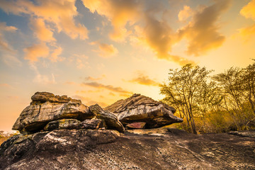 Wall Mural - On limestone hills.38