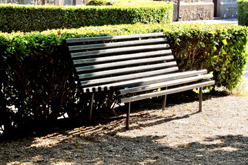 Beautiful forged bench in the park and flowerpots with flowers