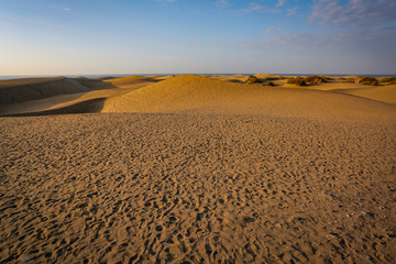 Summer background of sand and beach 