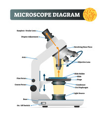 Sticker - Microscope diagram vector illustration. Labeled zoom instrument structure.