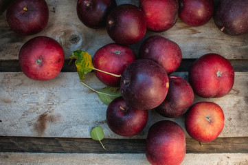 Apples in Crate