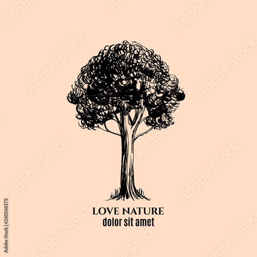 Vector Hand Drawn Illustration Of Realistic Tree Isolated