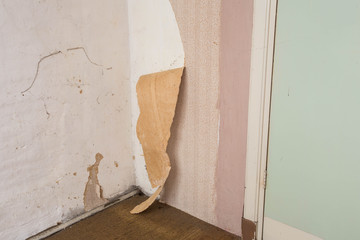 Wall Mural - old cracked wallpaper, peeling wallpaper wall problem, old abandoned house