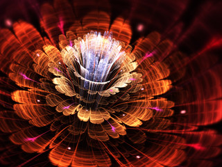 Wall Mural - Red and orange fractal flower, digital artwork for creative graphic design