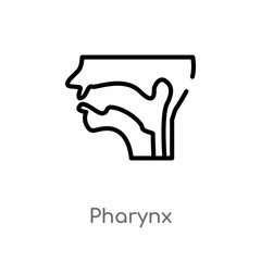 Wall Mural - outline pharynx vector icon. isolated black simple line element illustration from medical concept. editable vector stroke pharynx icon on white background