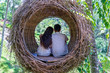 Asian woman and man enjoying his time sitting on a bird nest in the tropical jungle near the rice terraces in island Bali, Indonesia