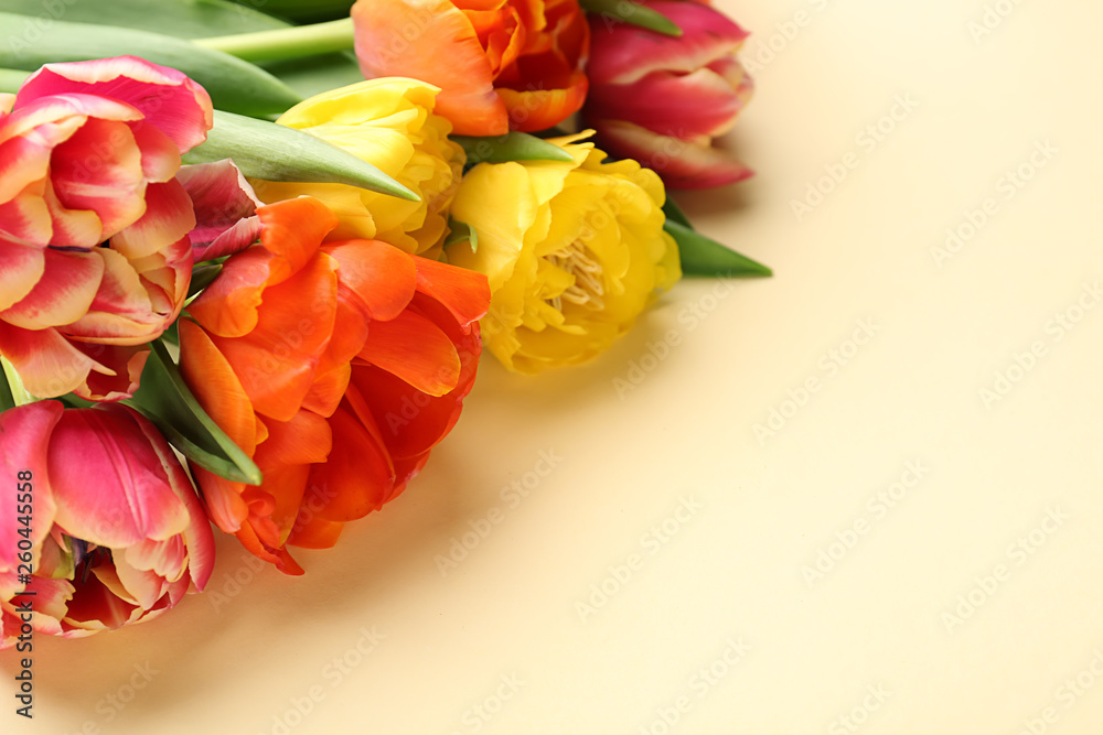 Beautiful tulip flowers on color background