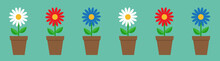Daisy Chamomile In Pot Line. Cute Flower Plant Collection. Love Card. White Red Blue Camomile Icon Set Growing Concept. Flat Design. Green Background. Isolated.