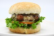 Delicious cheese burger with fresh lettuce and tomato