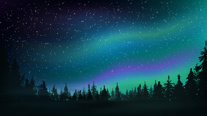 Pine forest, starry sky and Northern lights