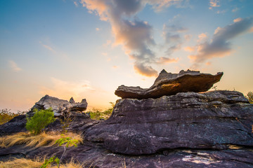 Wall Mural - On limestone hills.52