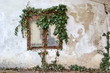 window of old house overgrown with ivy